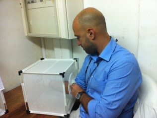 Carlos espera que mosquitos Anopheles lo piquen después de haber ingerido ivermectina, durante una investigación en Mozambique